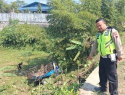 Tabrak Lari Banyumas Terungkap Kurang dari 24 Jam, Sopir Truk Berhasil Diamankan