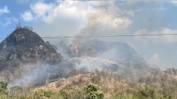 Musim Kemarau Memuncak, Karhutla di Jawa Tengah Meningkat, Banyumas Bergerak Cepat Padamkan Api