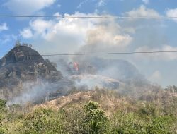 Musim Kemarau Memuncak, Karhutla di Jawa Tengah Meningkat, Banyumas Bergerak Cepat Padamkan Api