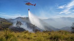 Tantangan Karhutla TNBTS di Lumajang, Sumber Air Berjarak 7 Km dan Angin Jadi Kendala