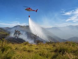 Tantangan Karhutla TNBTS di Lumajang, Sumber Air Berjarak 7 Km dan Angin Jadi Kendala