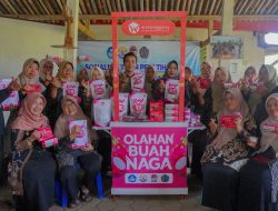 Buah Naga Banyumas Disulap Jadi 4 Produk Olahan, Ada Teh Celup hingga Es Krim