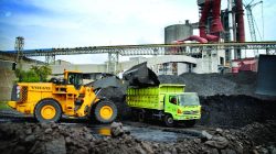 Harga Batubara Acuan Agustus 2026 Turun Jadi USD 124,44 per Ton, Ini Penyebabnya