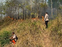 Lahan Terbakar di Perbukitan Overpass Kebasen Banyumas, Polisi Soroti Peran Cepat Warga