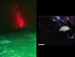 Gunung Anak Krakatau Erupsi Menerus, Lava Fountain Terlihat dari Tengah Laut