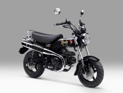 Honda ST125 Dax Tampil Makin Ikonik dengan Warna Baru, Harga Rp84,5 Juta