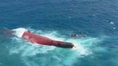 KM Virgo Transport 8 Terbalik Dihantam Gelombang 3 Meter, Penyebab Kecelakaan Masih Diselidiki