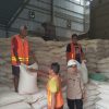 Salurkan 683 Ton Jagung SPHP, Peternak Bisa Beli Rp5.000 per Kg