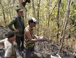Kebakaran Hutan Jati di Banyumas Tewaskan Lansia, Diduga Terjebak Asap
