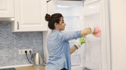 8 Cara Menghilangkan Bau Kulkas dengan Bahan Sederhana, Mudah Dicoba di Rumah