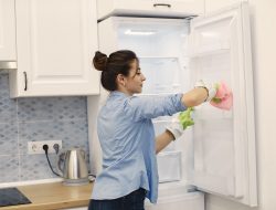 8 Cara Menghilangkan Bau Kulkas dengan Bahan Sederhana, Mudah Dicoba di Rumah