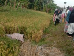 KA Parcel Temper Orang Tak Dikenal di Jalur Karangsari-Patuguran