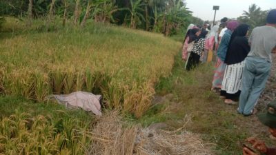 KA Parcel Temper Orang Tak Dikenal di Jalur Karangsari-Patuguran